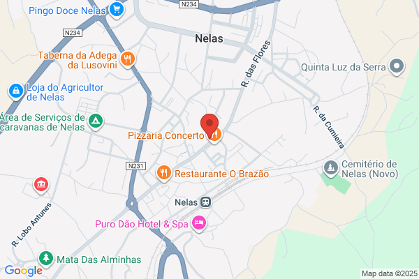Escola De Condução De Nelas-Ensino P/ Todos veículos automóveis lda