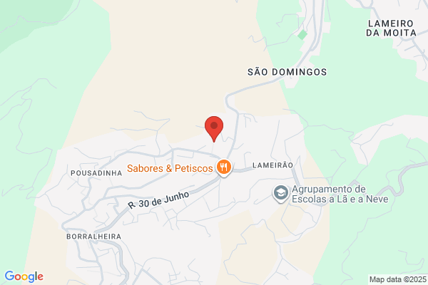 Lucinda C Marques Carvalho