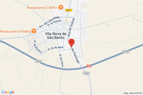 Nuno M Perdigão Francisco