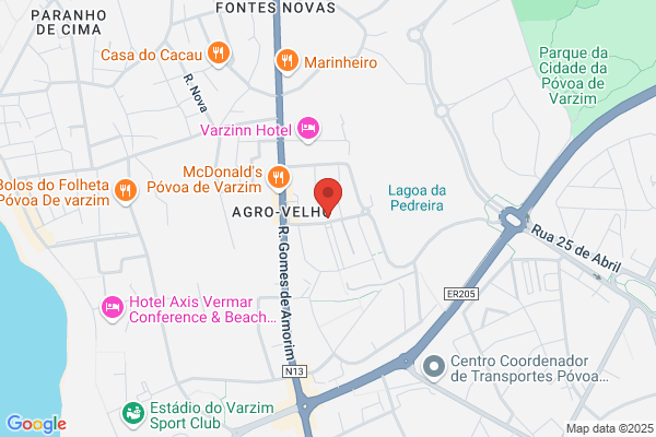 Virgéa C N R Silva Veiga