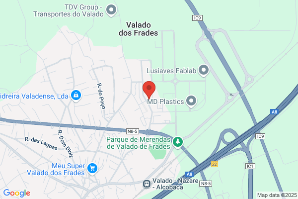 Conceição Seixas
