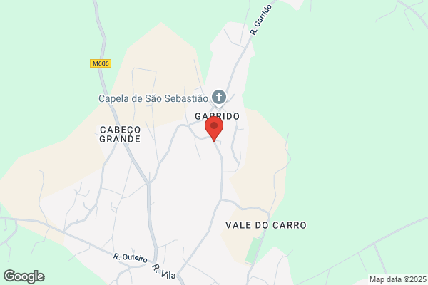 Manuel Carvalho E Silva