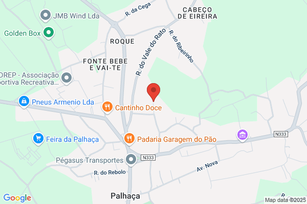Vasconcelos Paula