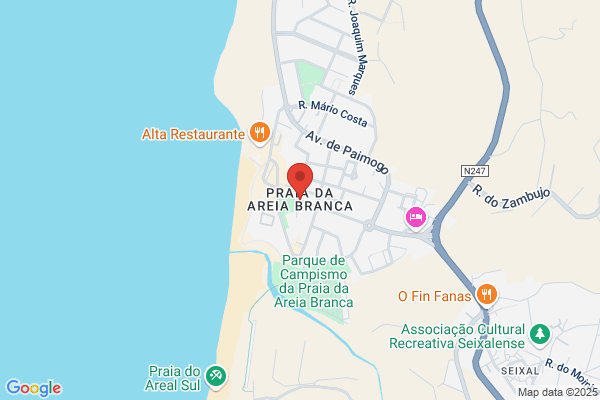 Leonel C Pereira Cunha