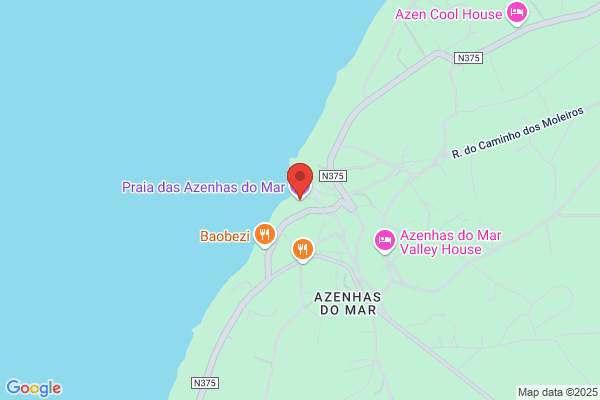 Miguel Guerra Coelho