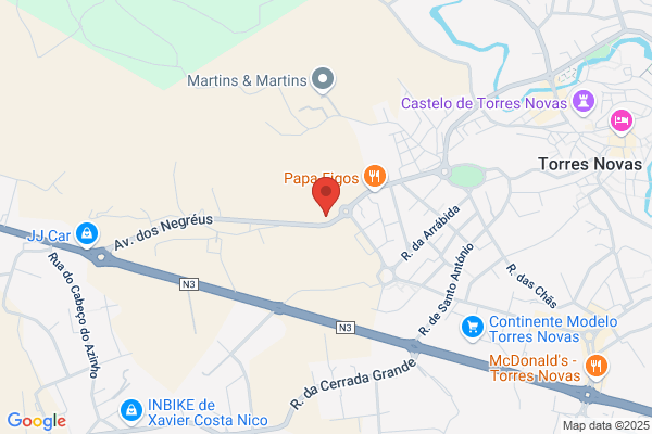 Afonso Dinis Torres