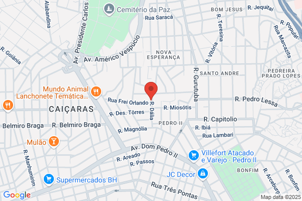 Ana M O Fonseca Cunha