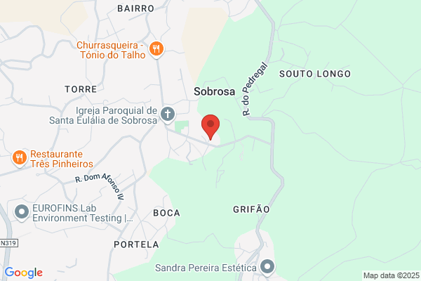 Maria R C Tavares Sobrosa