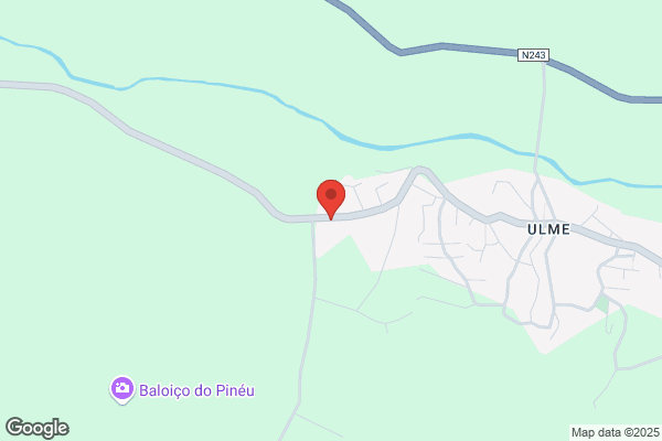 Duarte C G Lino Neto