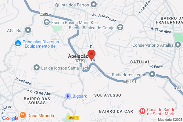 Paula C C Alves Pereira