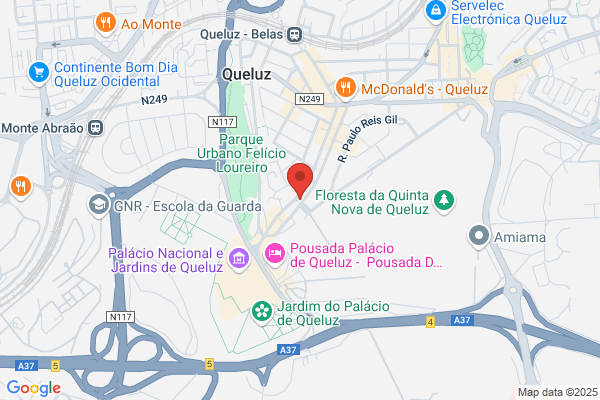 Carlos J Duarte Carmo