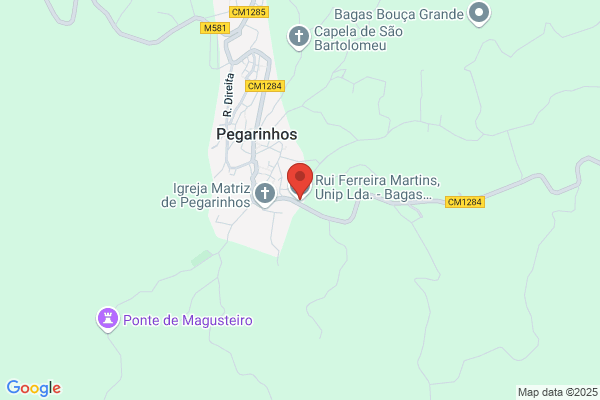 Jacinto F Martins Pedrinho