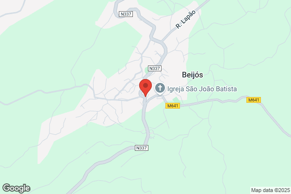 Isabel M C P Borges Carvalho