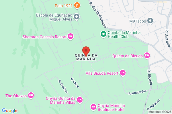 Virgínia A S Brás Moura