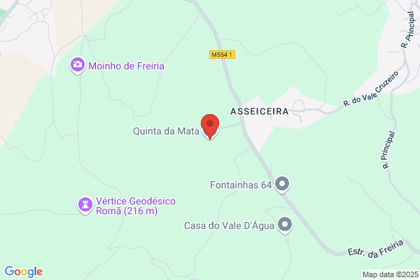 Dia Conceiï Isidoro