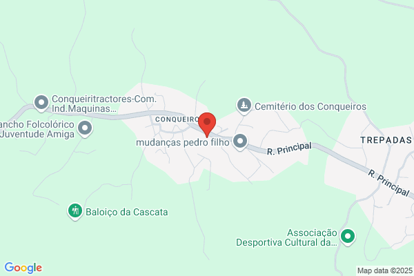 Elisabete S Alves Gomes