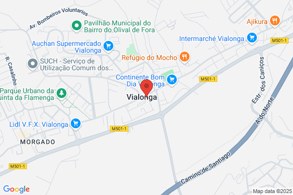 Farmácia Mendes Correia Lda