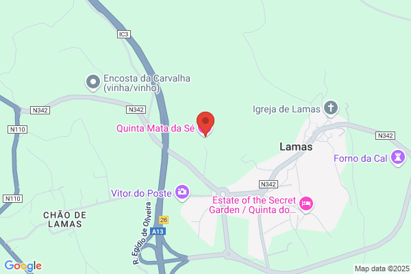Maria L M M Rodrigues Pinto