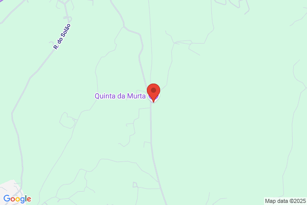 Álvaro Marques Moura