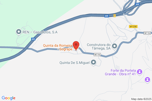 Jorge Valente. Lda