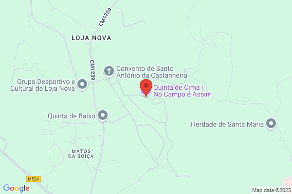 António J Lopes Papança