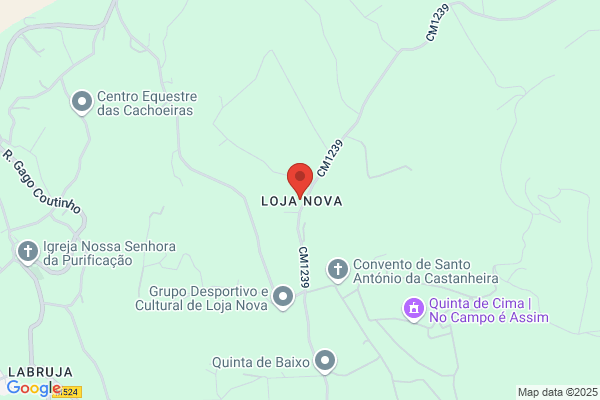 Ecogab-Prestaï De Servió Micos Lda
