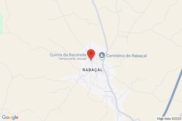 Isabel M Santos Mendes