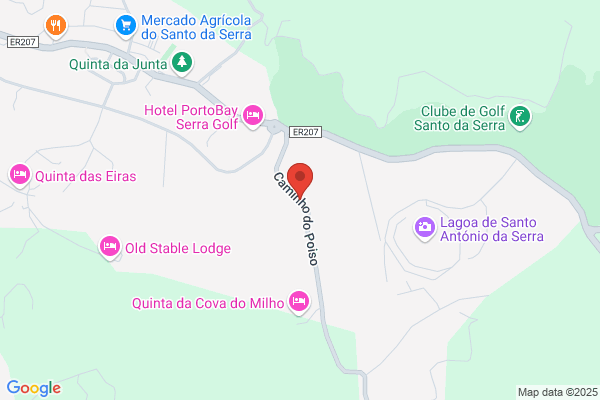 Domingos I Almeida Cruz