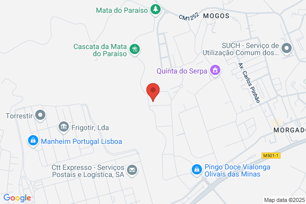 Frivap-Cedencia De Pessoal. Lda