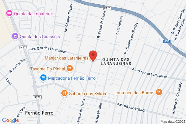Laura P Palma Gonçalves
