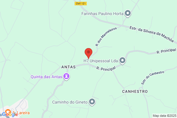 Abel F Lima Oliveira