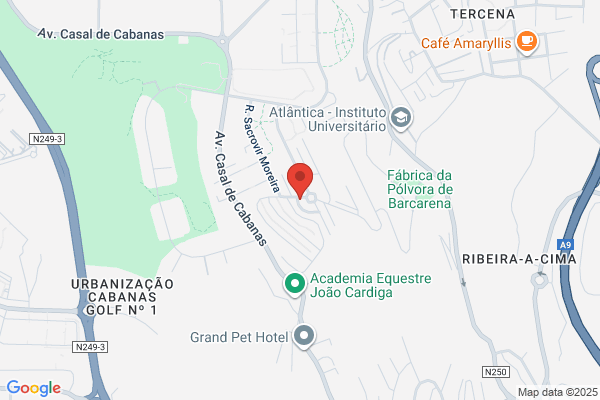 Active Learning-Actividades Promocionais Lda