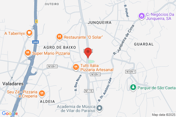 Adelaide M Amaral Vieira