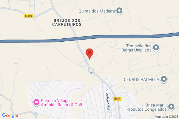 Adelino A Pires Cardoso