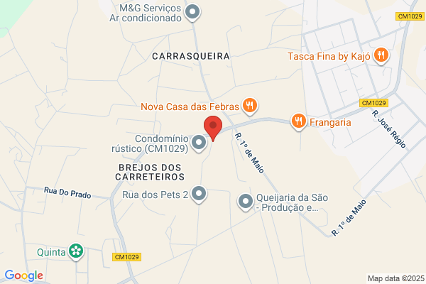Antiquarussos