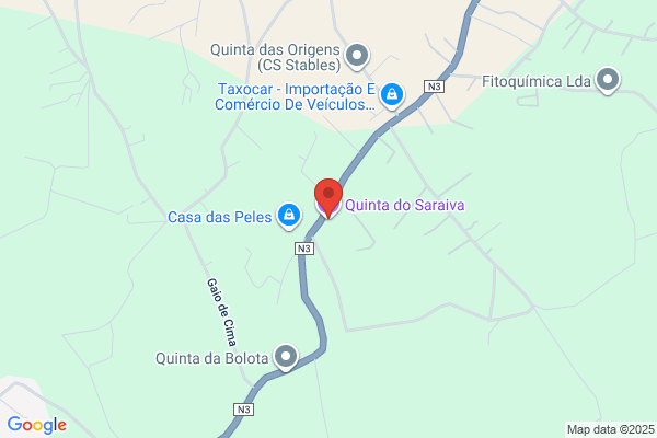 Lucília E S Ferreira Marques