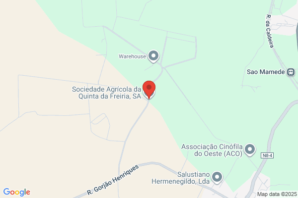 Sociedade Agrecola Quinta Da Ribeira Fria. Lda