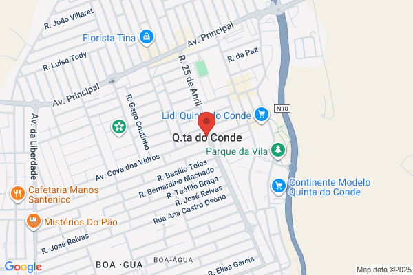 C G A-Comercio Geral De Avestruzes. Lda
