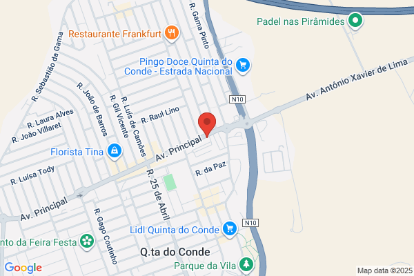 Maria L M Rodrigues Raminhos