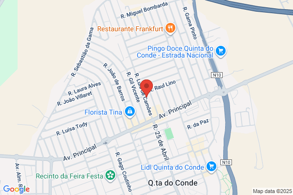 Paula Capelo Antunes