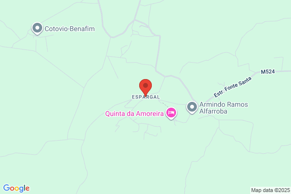 Armindo Silva Sequeira