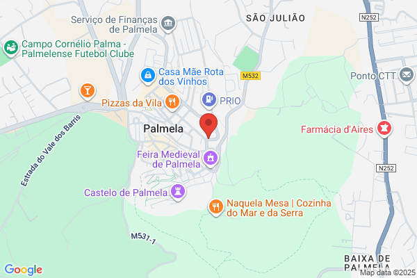 Florbela M Fialho Carocinho