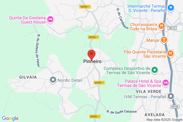 Maria L V Pinheiro Soares