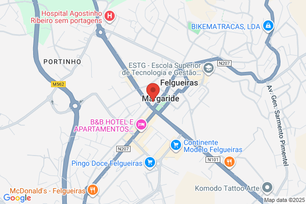 Rosa Sousa Domingues