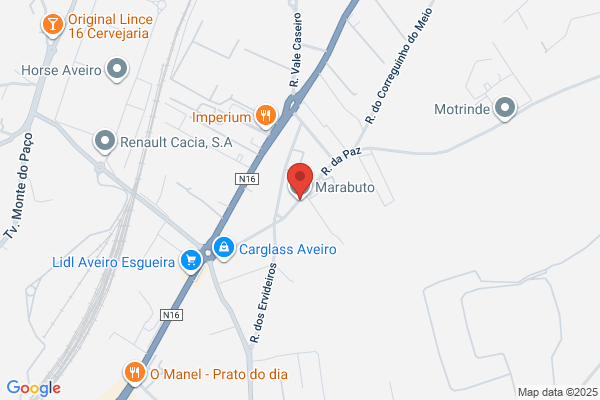 Vítor M Moura Carvalho