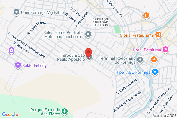 Clínica Veterinária da Formiga