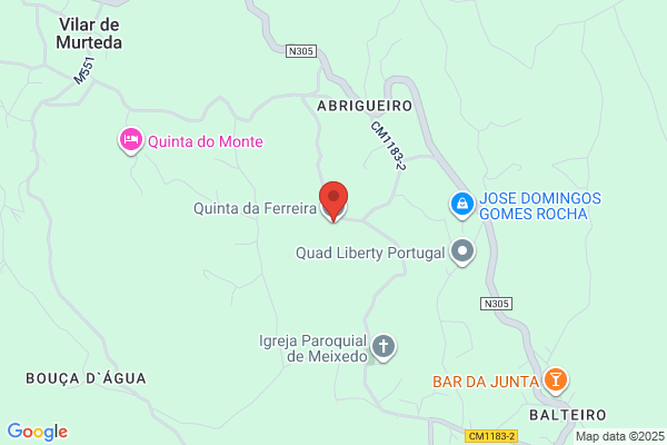 Manuel A Fernandes Ferreira