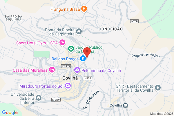 Manuel A Carvalho Ribeiro