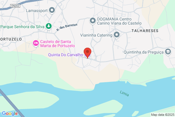 Maria G Carvalho Mauréo