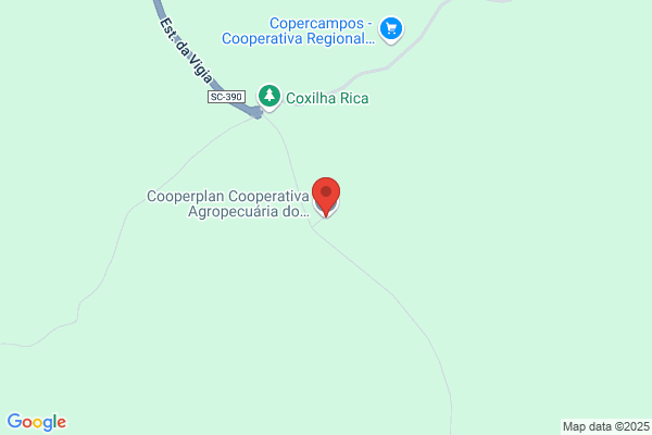 Cooperativa Florestal Do Planalto Serrano Crl